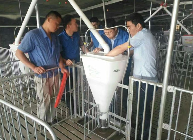 开运体育app官网入口开运最新优惠