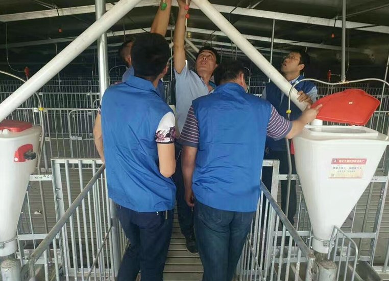 传真：0534-5808667
