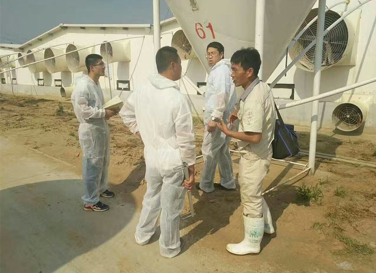 手机：17853401517