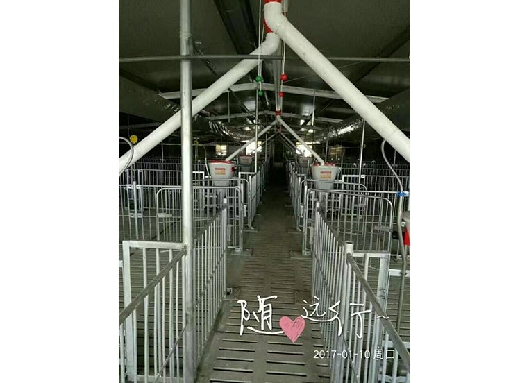 电话：0534-5808667
