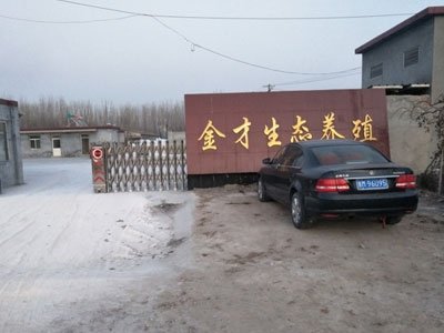 企业名称
