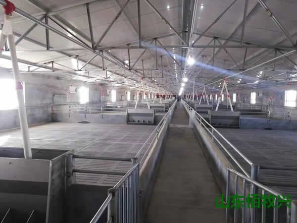 地址：山东省德州市齐河县齐安大街7号