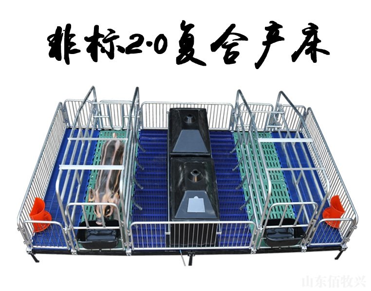 传真：0534-5808667