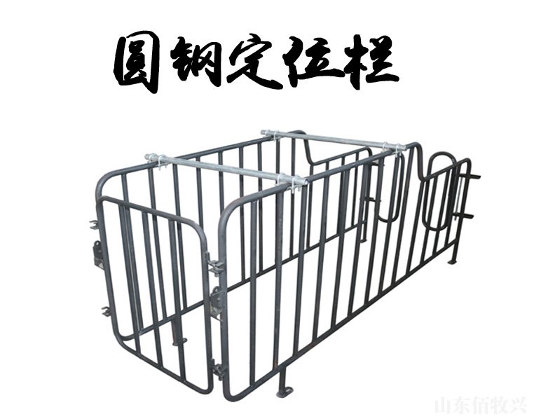 企业名称