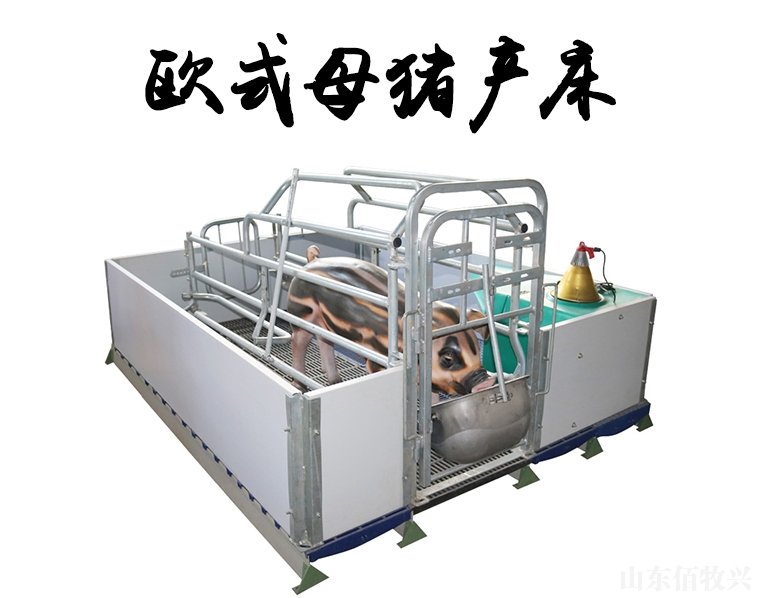 电话：0534-5808667