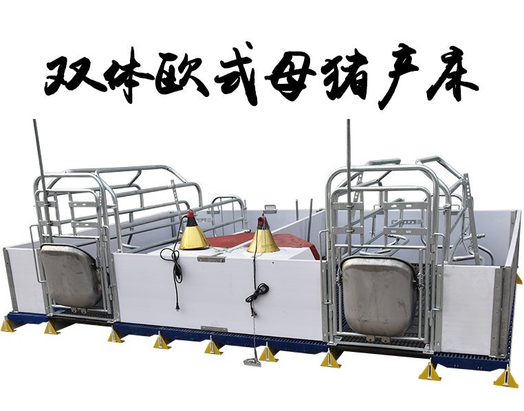 传真：0534-5808667