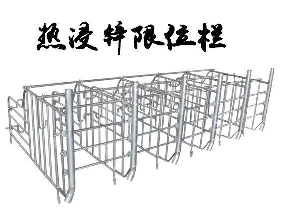 企业名称