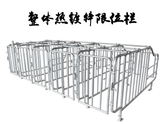 电话：0534-5808667