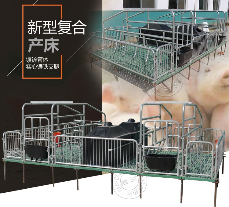 山东佰牧兴全复合双体母猪产床 联系电话