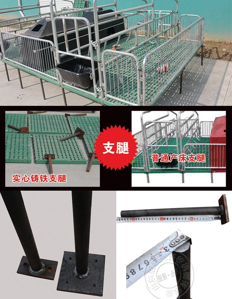 山东佰牧兴全复合双体母猪产床 17853401517