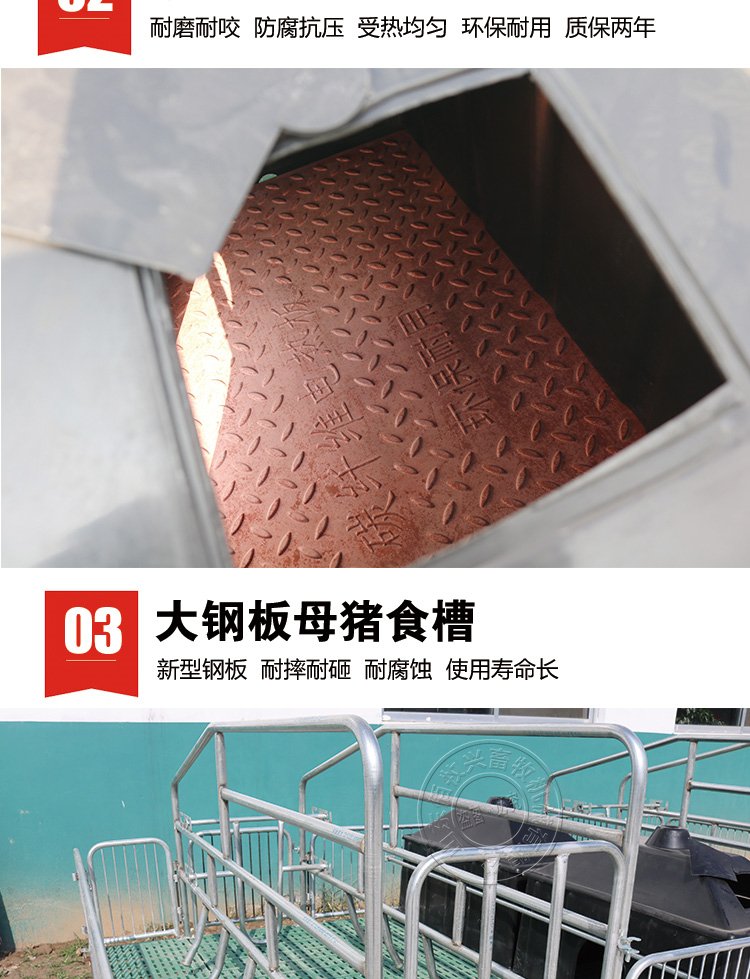 山东佰牧兴全复合双体母猪产床 传真:0534-5808667