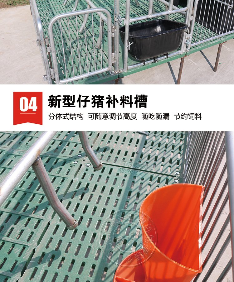 山东佰牧兴全复合双体母猪产床 山东省德州市齐河县齐安大街7号