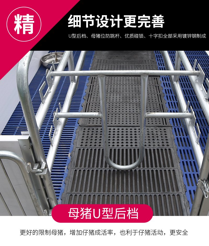 1614995467149105.jpg 所属分类