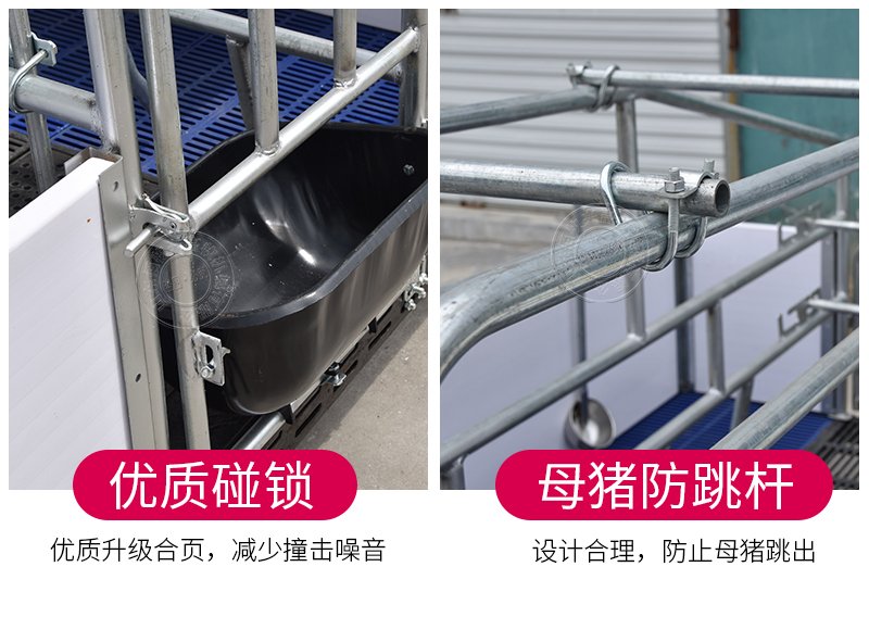 1614995473402825.jpg 所属分类:母猪产床