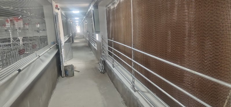 开运体育app官网入口开运新人权益