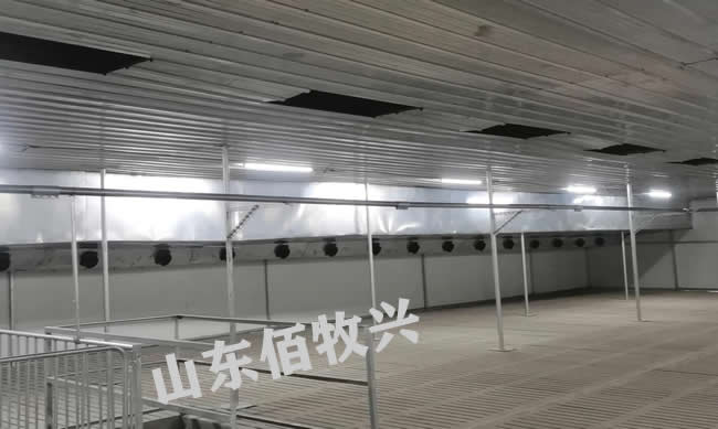 17853401517(微信同步)