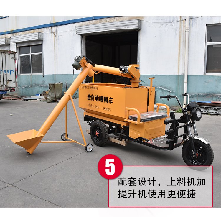 所属分类