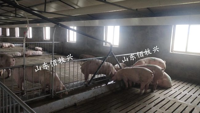 17853401517(微信同步)