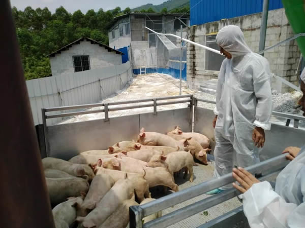 1690513408951059.jpg NEWS
