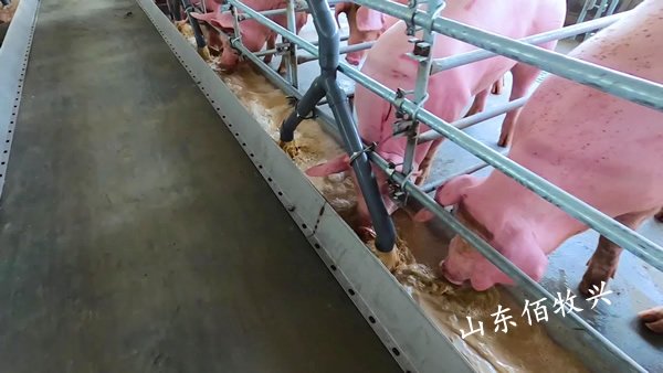 1692580524114215.jpg 17853401517(微信同步)