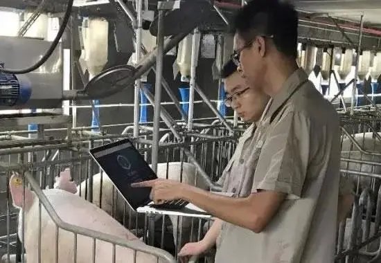 1693128274241022.jpg 联系电话