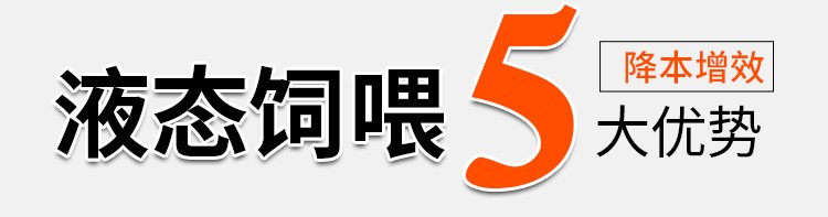 企业名称